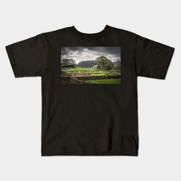 Country Barn in Green Fields with Stone Walls Kids T-Shirt by TonyNorth